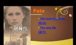 荆棘鸟电影在线观看,穿越时空的深情演绎