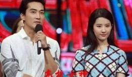 刘亦菲宋承宪最新互爆料,揭秘昔日恋情细节