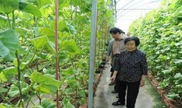 义乌吃瓜最新事件爆料是真的吗,最新爆料真相揭秘